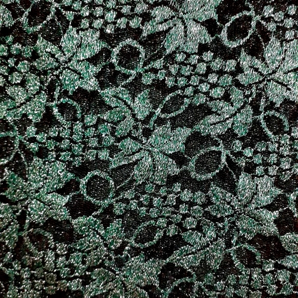 Dark Green Lace on Black Net Pre-Pleated Saree - Picture 2 of 4